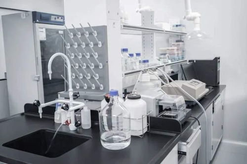 持续突破，精准制导 诗健生物的创新之旅与ADC药物研发新篇